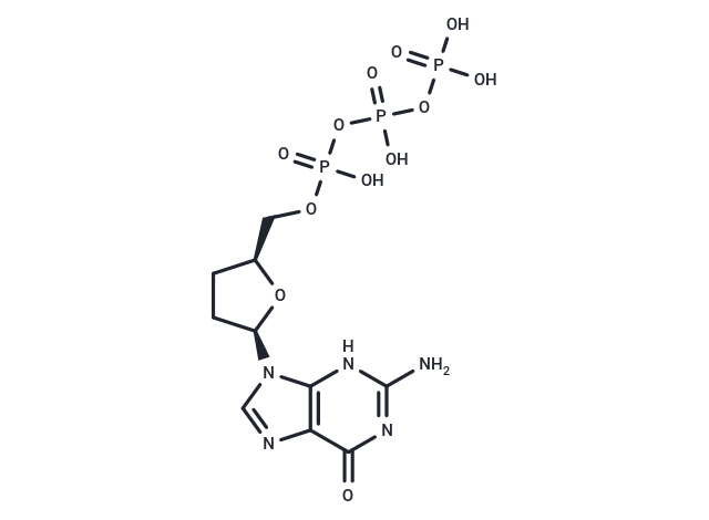 ddGTP