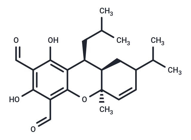 Euglobal Ia2