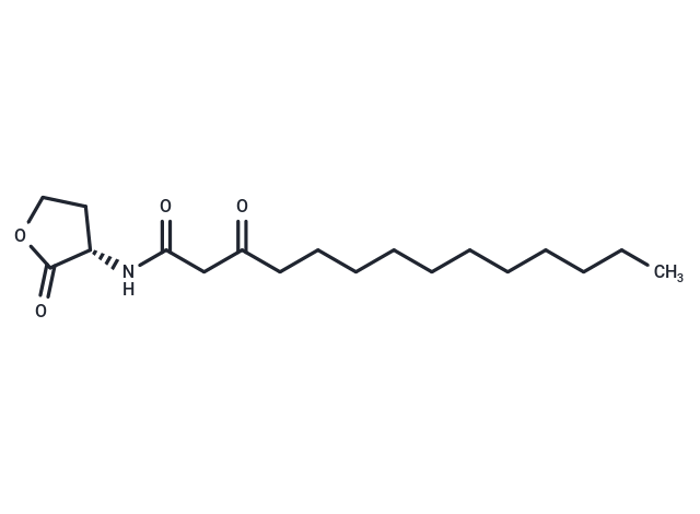 N-3-oxo-tetradecanoyl-L-Homoserine lactone