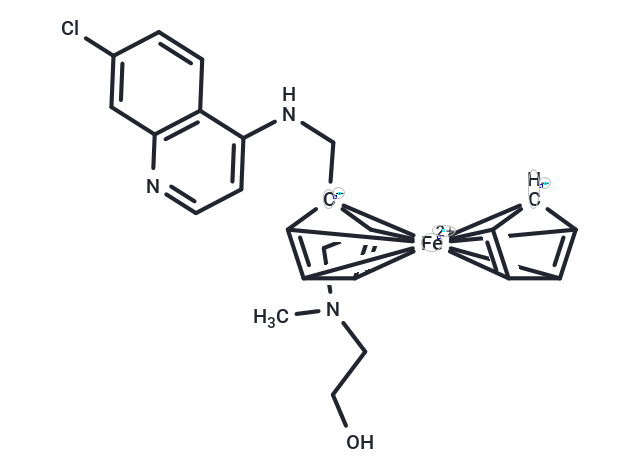 SARS-CoV-IN-2