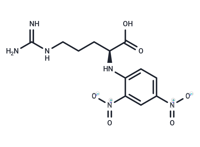 (2,4-Dinitrophenyl)-L-arginine
