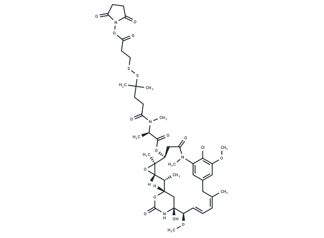 DM4-SPDP