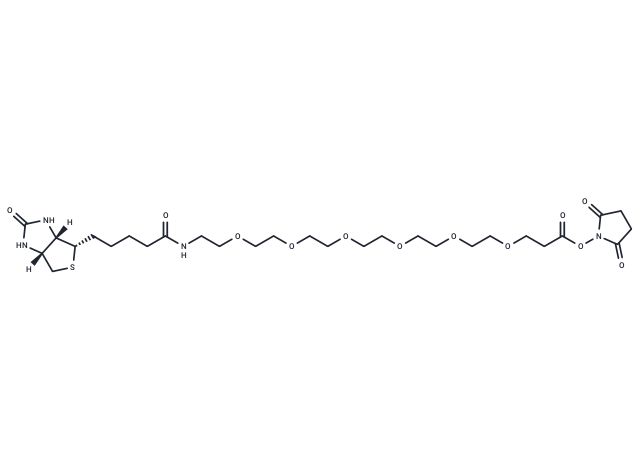 Biotin-PEG6-NHS ester