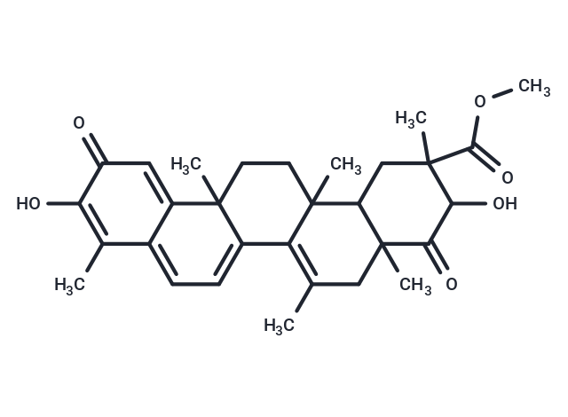 Netzahualcoyone