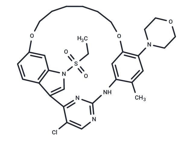 EGFR-IN-70