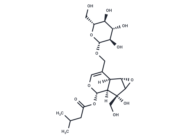 Kanokoside A