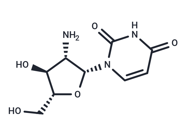 2’-Amino-2’-deoxy-b-D-arabinouridine