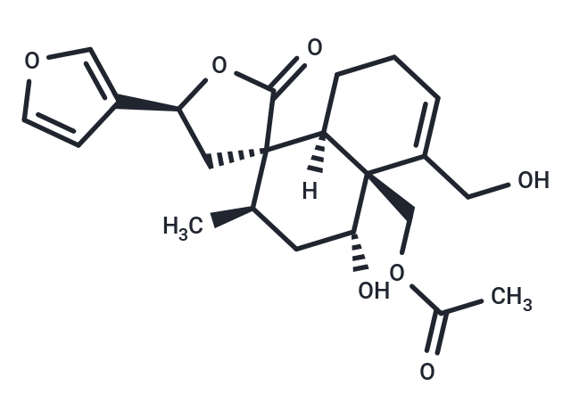 Teuscorodol