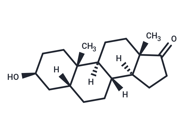 5β-Androstan-3β-ol-17-one
