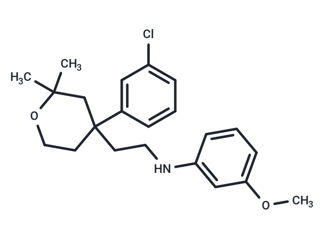 ICMT-IN-24