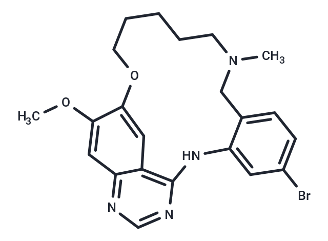 BGB-102