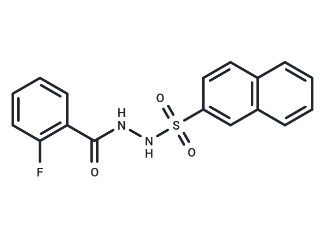 CTX-0124143