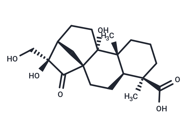 Pterisolic acid F
