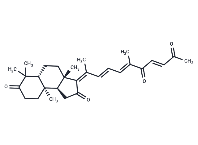 geoditin A