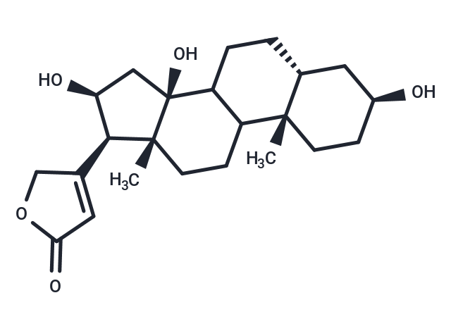 Gitoxigenin