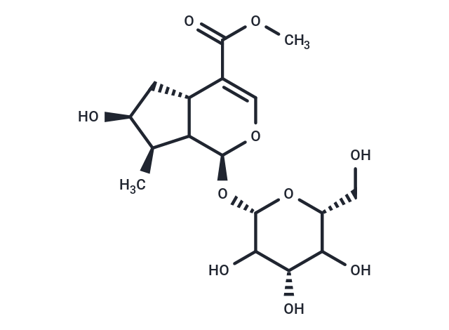 Loganin (Meliatin; Loganoside)