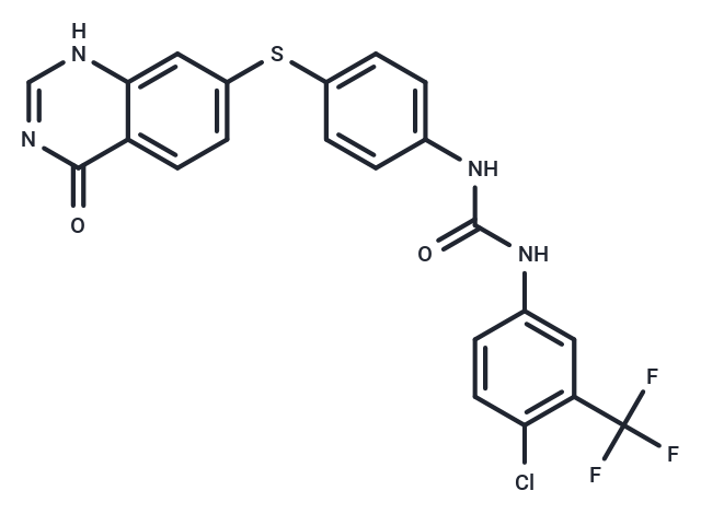 B10-S