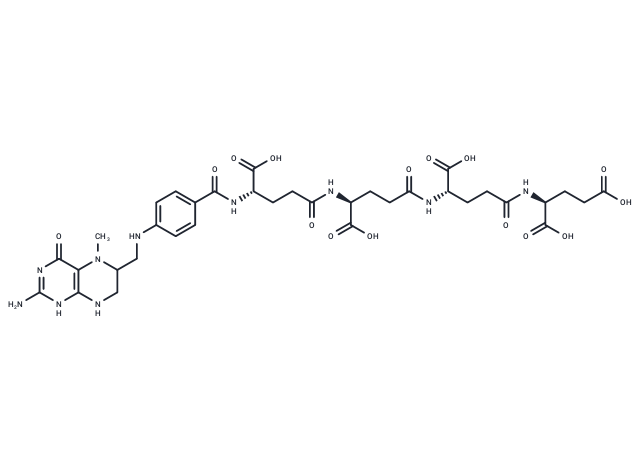 5-Methyltetrahydrofolate triglutamate