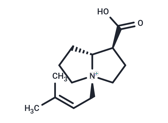 Anodendrine