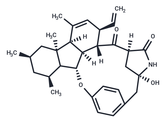 Pyrrocidine B