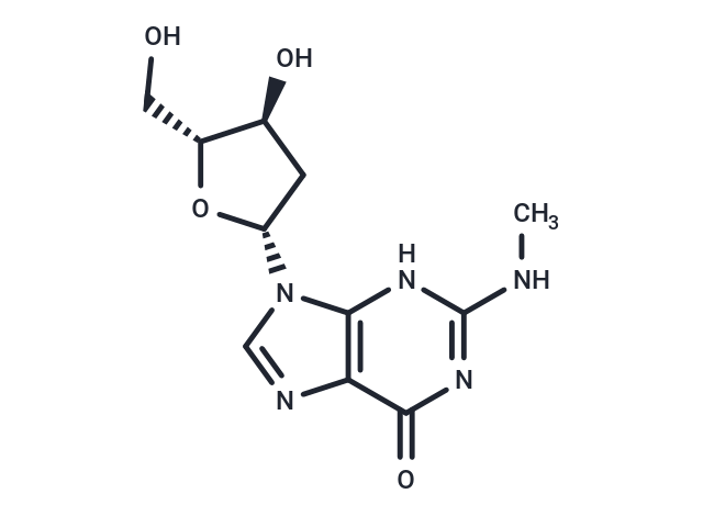 2’-Deoxy-N2-methylguanosine