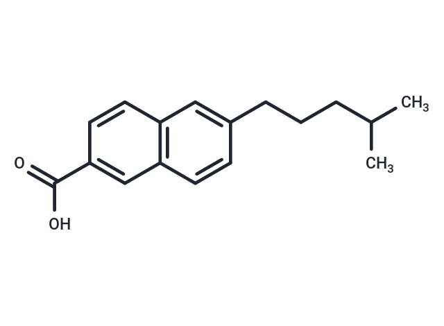 UBP684