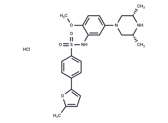 GSK-894490A