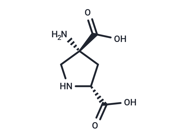 (2R,4R)-APDC