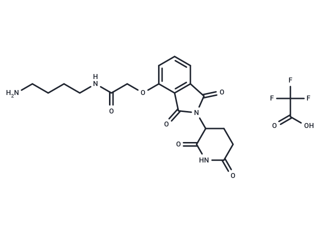 Thalidomide-O-amido-C4-NH2 TFA