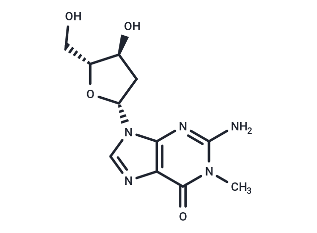 2’-Deoxy-N1-methylguanosine