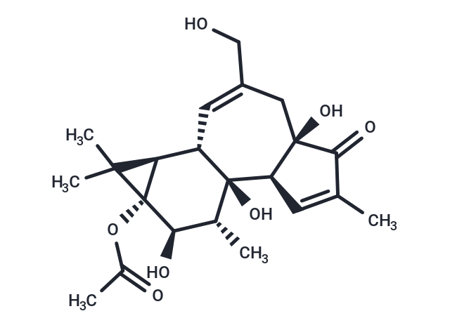 Phorbol 13-acetate