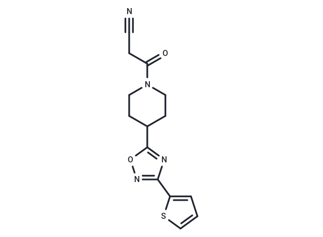 BDM31343