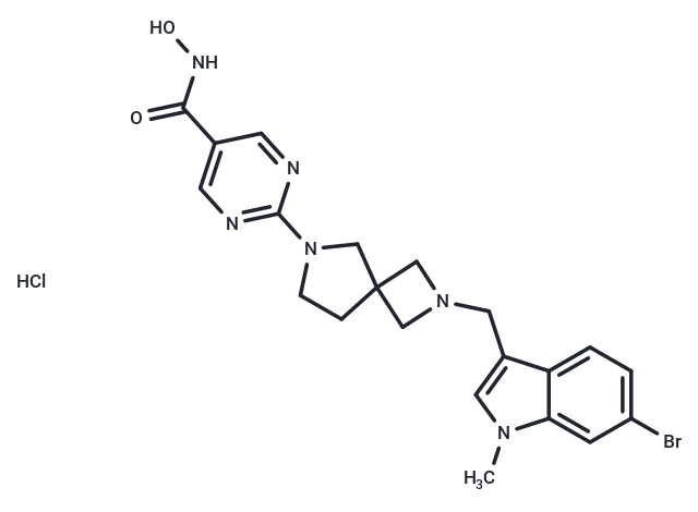 HDAC1-IN-4