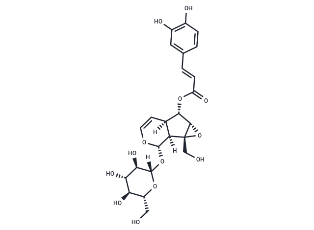 Verminoside