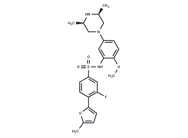 GSK 894281