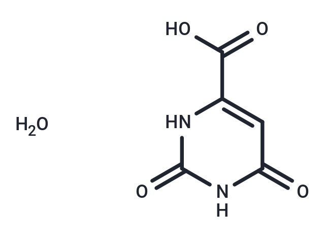 Orotic acid monohydrate