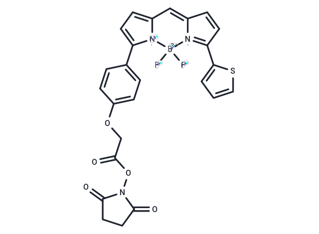 Bdp tr nhs ester