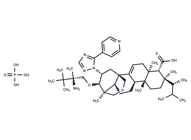 SCY-078 phosphate