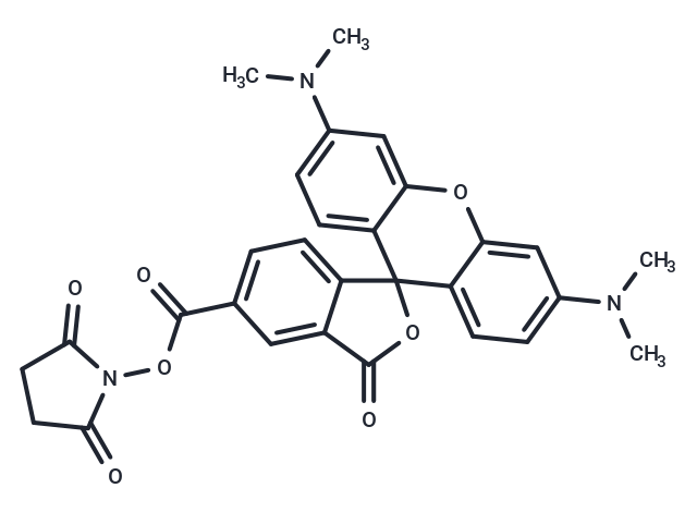 NHS-5(6)Carboxyrhodamine