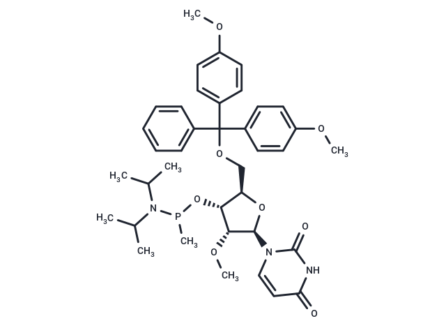 5’-O-DMTr-2’-OMeU-methyl phosphonamidite