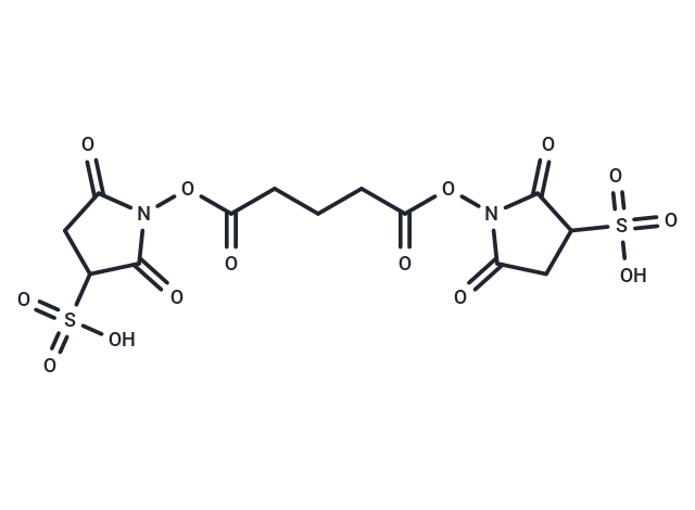 BS2G Crosslinker