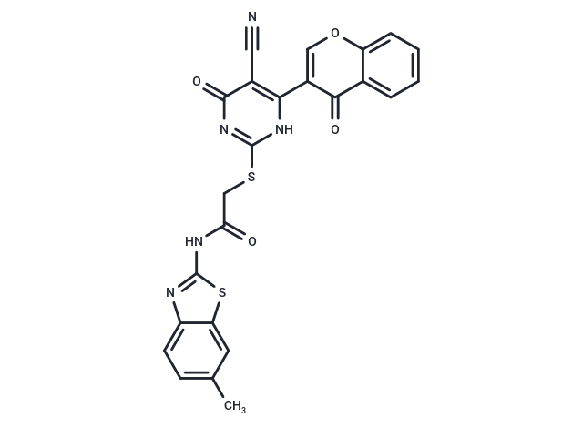 EGFR/HER2/TS-IN-1