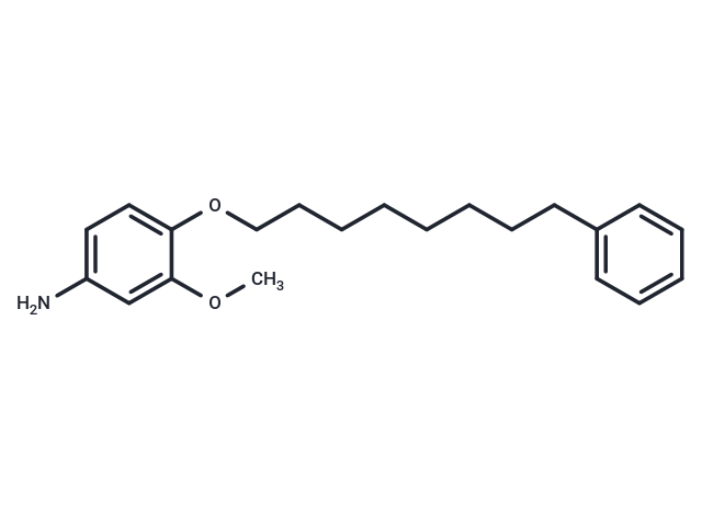 m-Anisidine, 4-((8-phenyloctyl)oxy)-