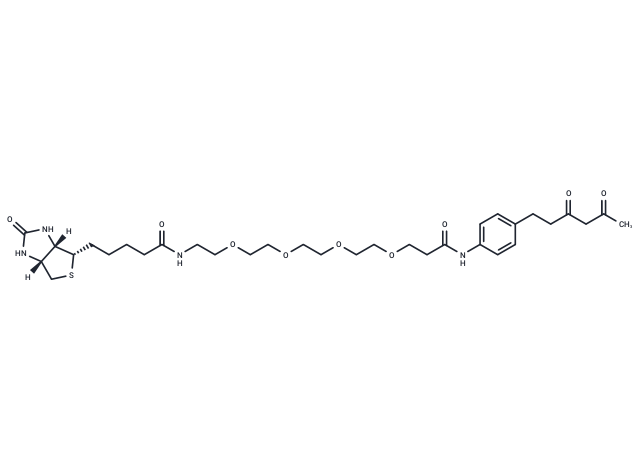 Diketone-PEG4-Biotin