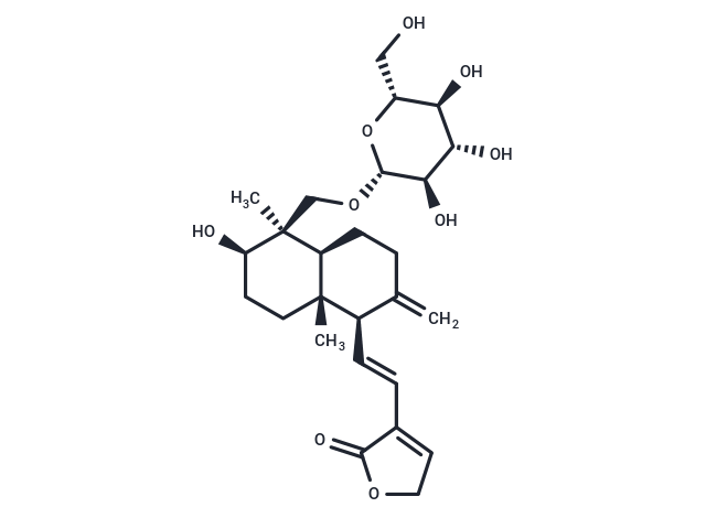 14-Deoxy-11,12-didehydroandrographiside