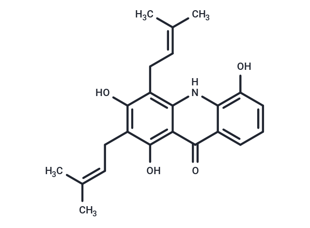 Atalaphylline