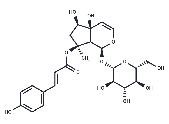 8-O-4-Hydroxycinnamoylharpagide