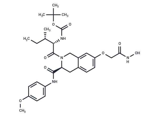 ZYJ-25e