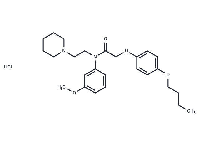 Acetamide, N-(m-anisyl)-2-(p-butoxyphenoxy)-N-(2-piperidinoethyl)-, hydrochloride