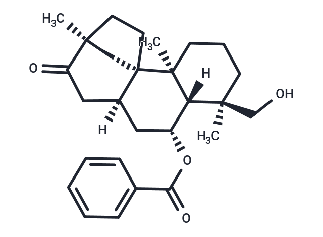 Scopadulciol